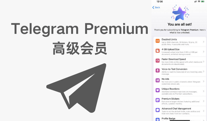 Telegram 会员和普通版区别?
